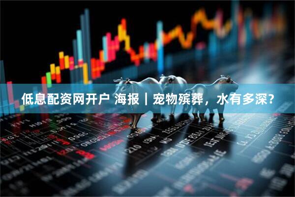 低息配资网开户 海报｜宠物殡葬，水有多深？