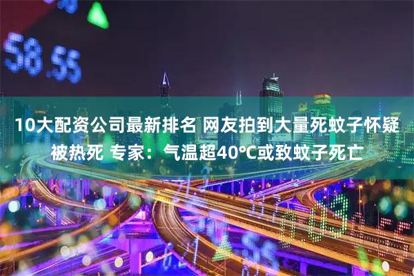 10大配资公司最新排名 网友拍到大量死蚊子怀疑被热死 专家：气温超40℃或致蚊子死亡