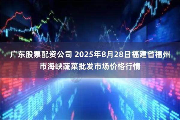 广东股票配资公司 2025年8月28日福建省福州市海峡蔬菜批发市场价格行情