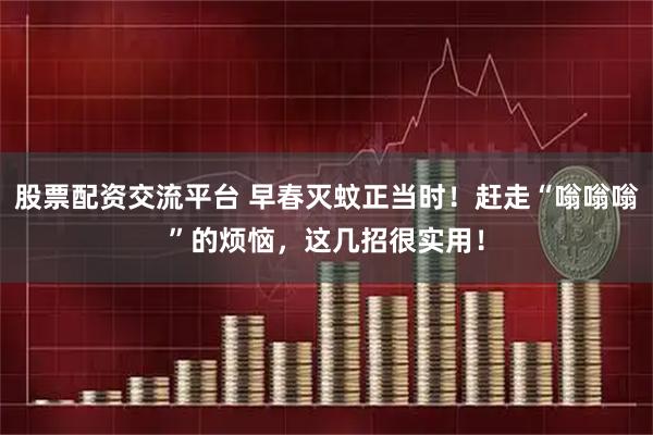 股票配资交流平台 早春灭蚊正当时！赶走“嗡嗡嗡”的烦恼，这几招很实用！