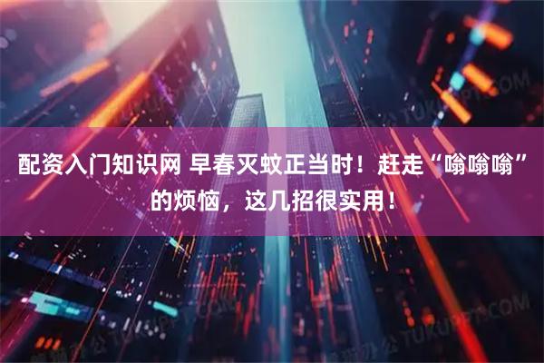 配资入门知识网 早春灭蚊正当时！赶走“嗡嗡嗡”的烦恼，这几招很实用！