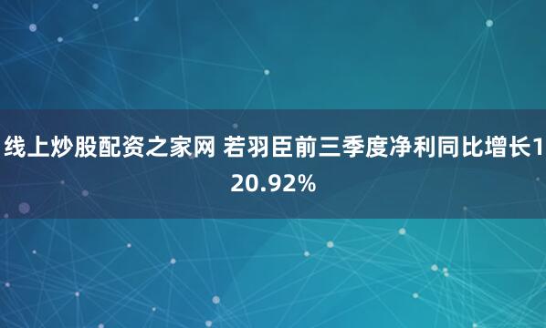 线上炒股配资之家网 若羽臣前三季度净利同比增长120.92%
